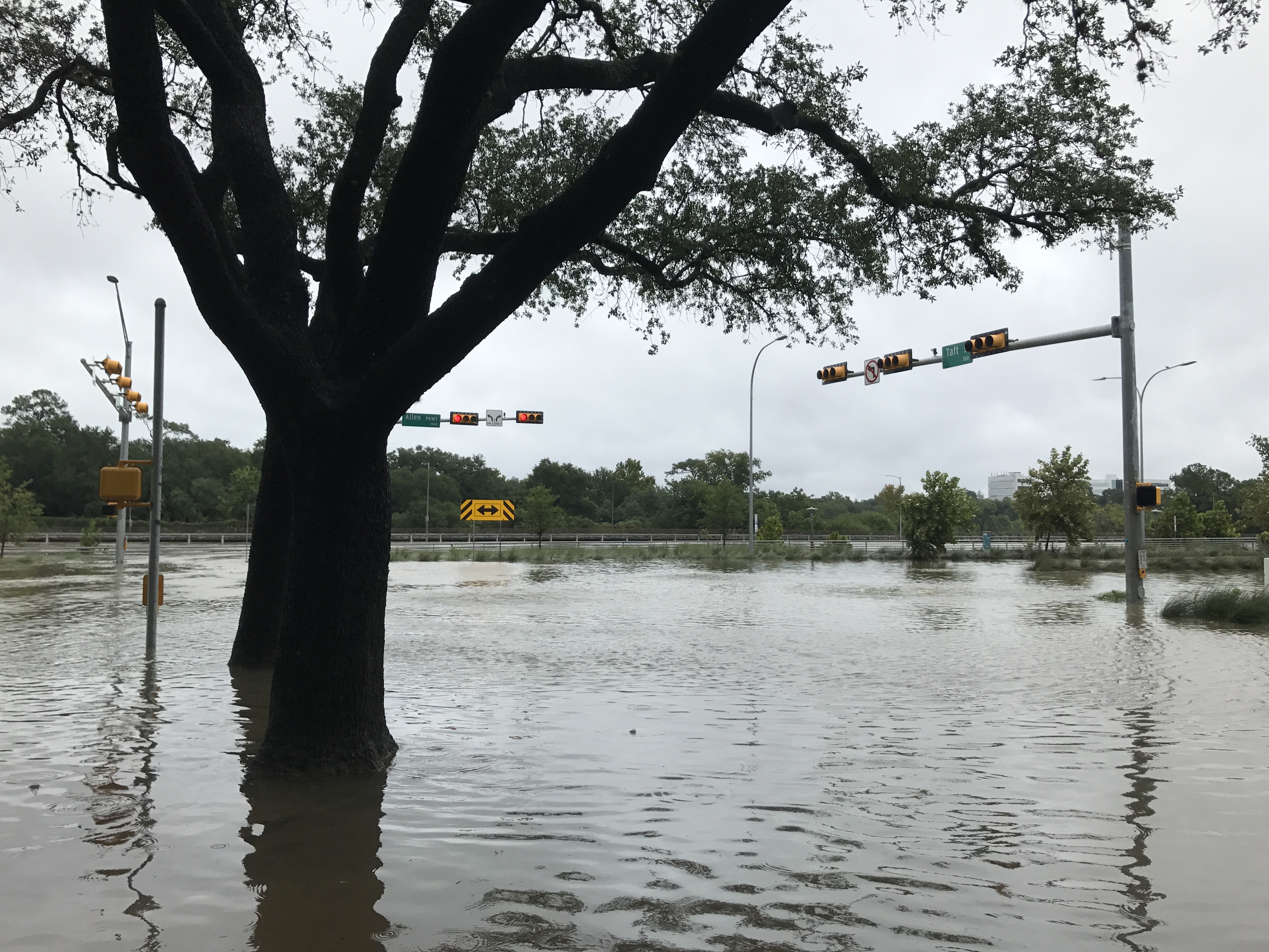 Harvey in Houston