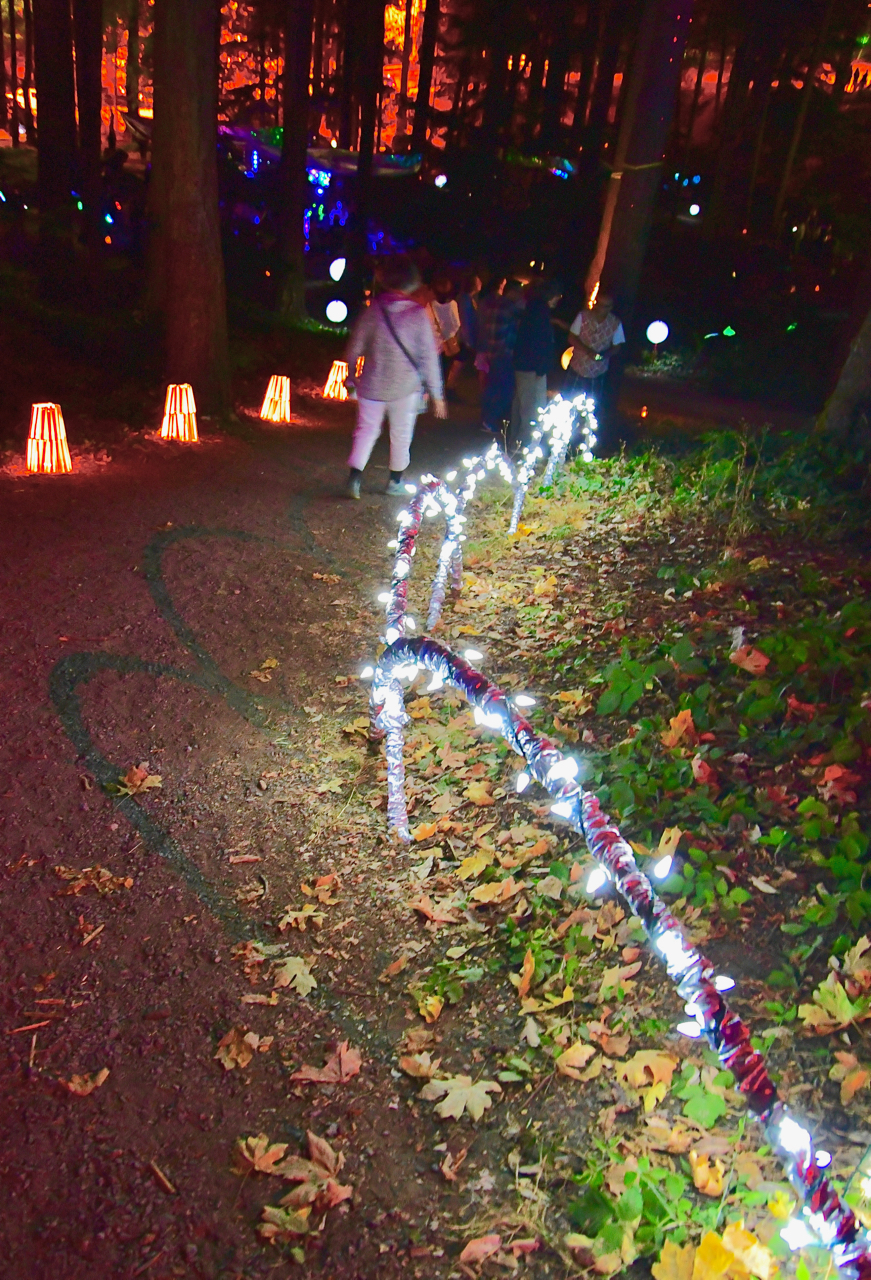 Kathy Justin llluminated the pathways of the park.