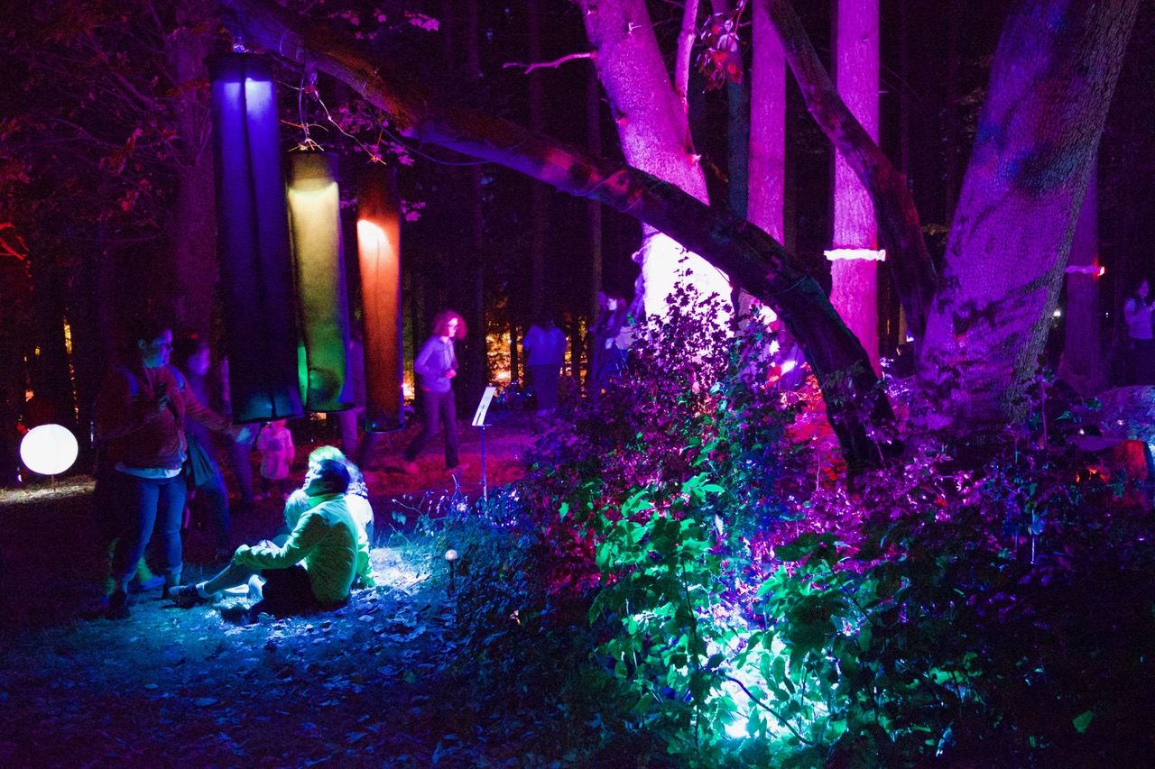 resting in the glow