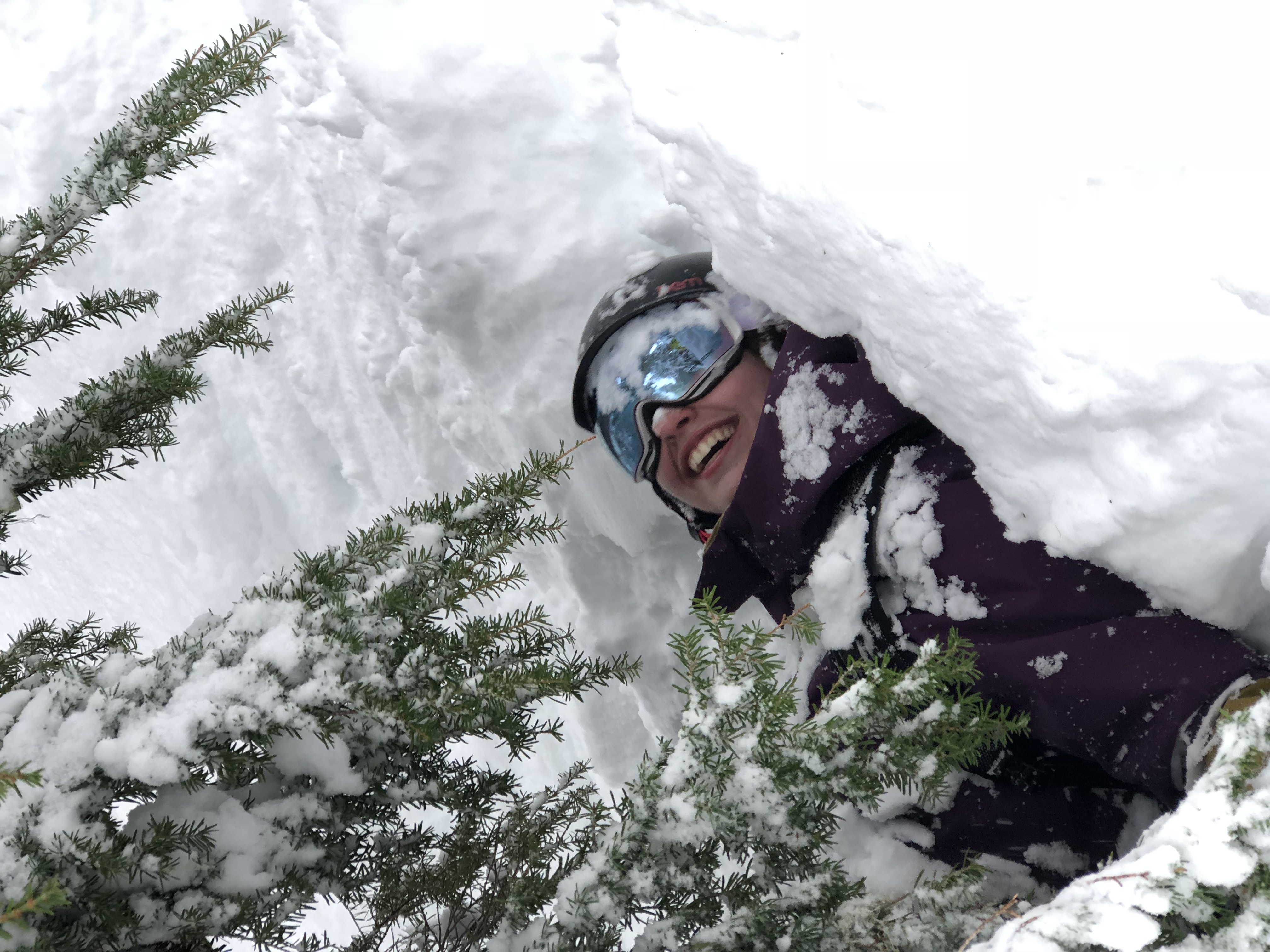 Westside Snow Report: Suns Out, Guns Out | Westside Seattle