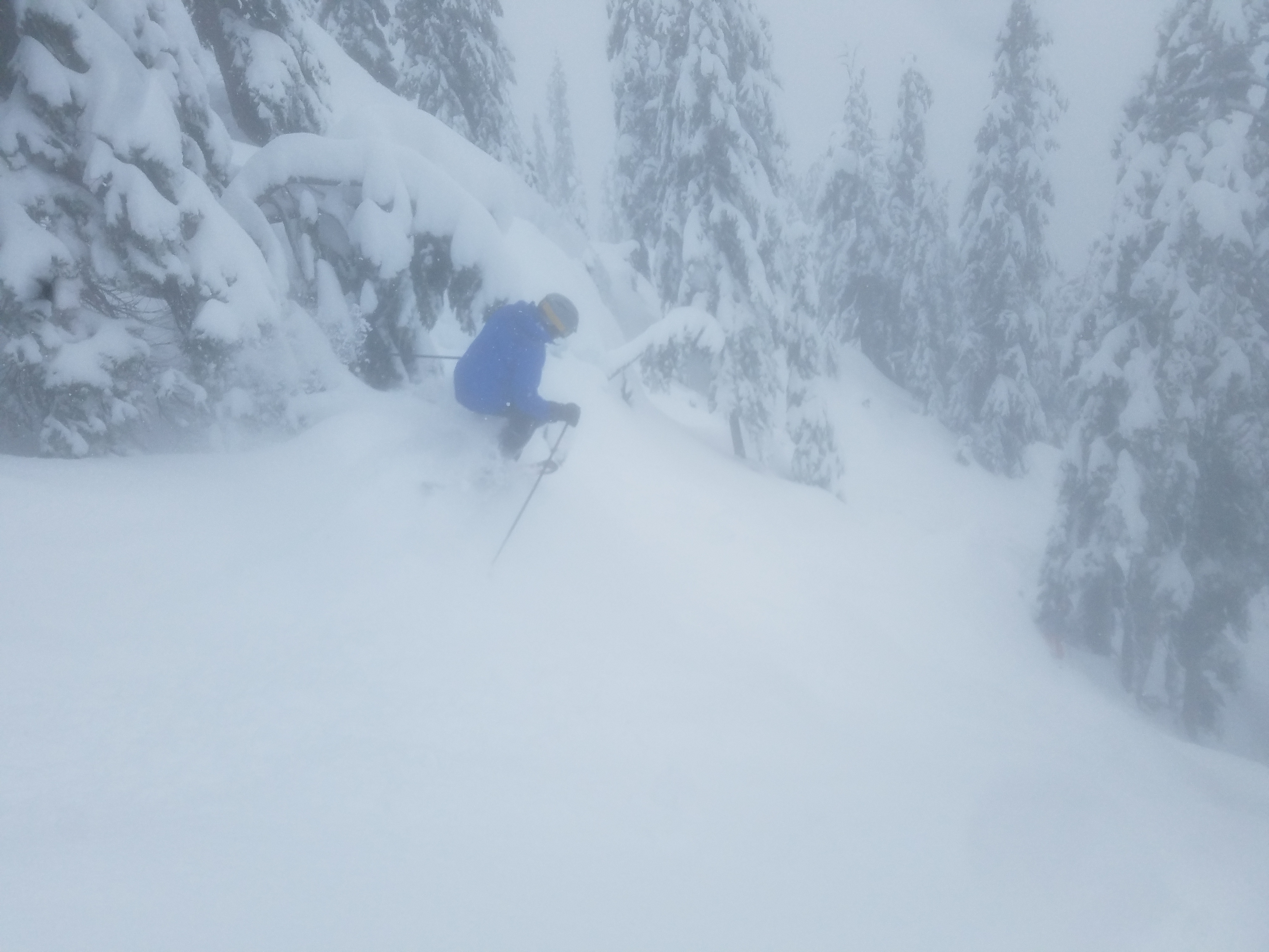 Scott ripping it up