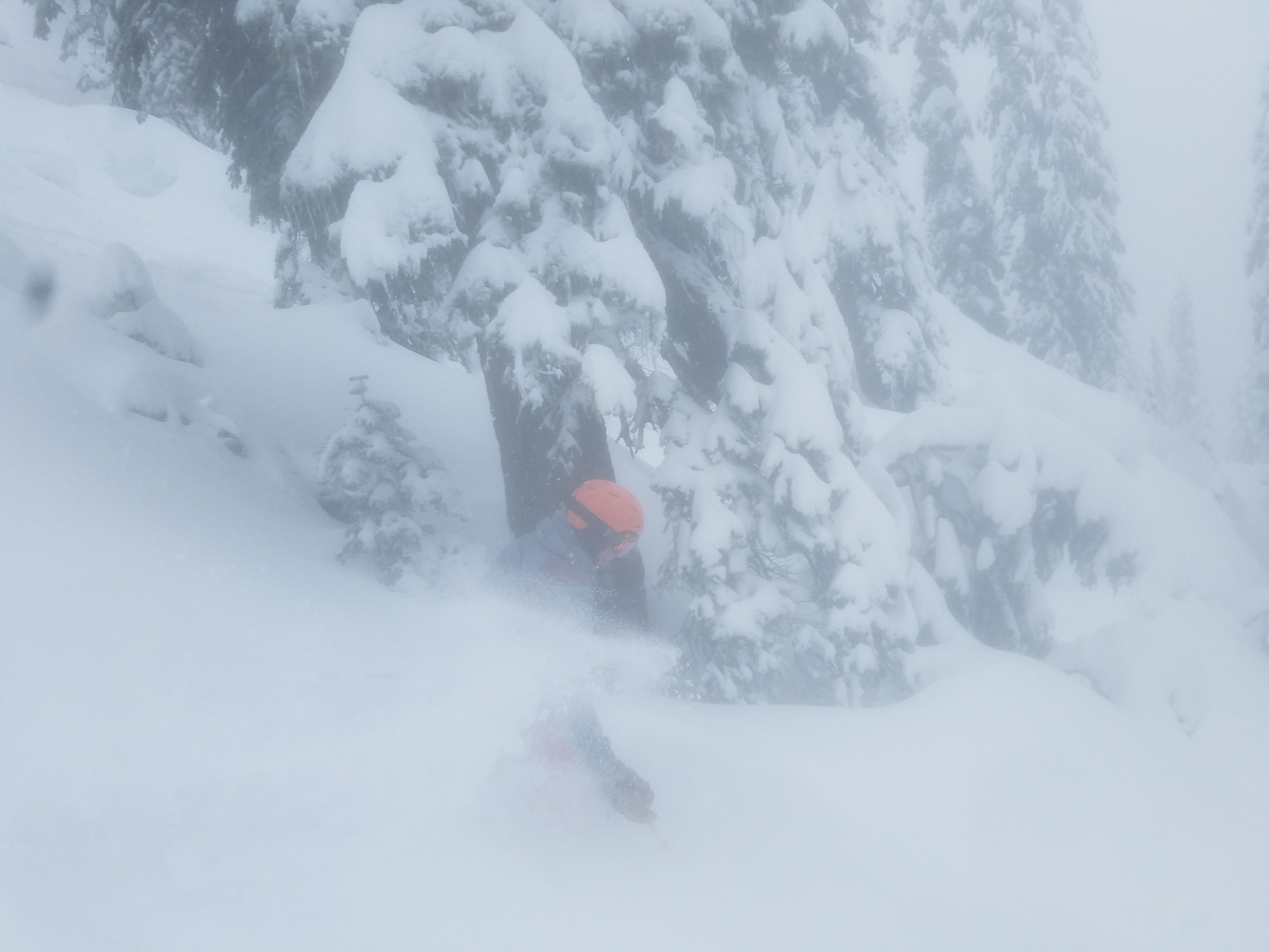 Sean rips the deep snow