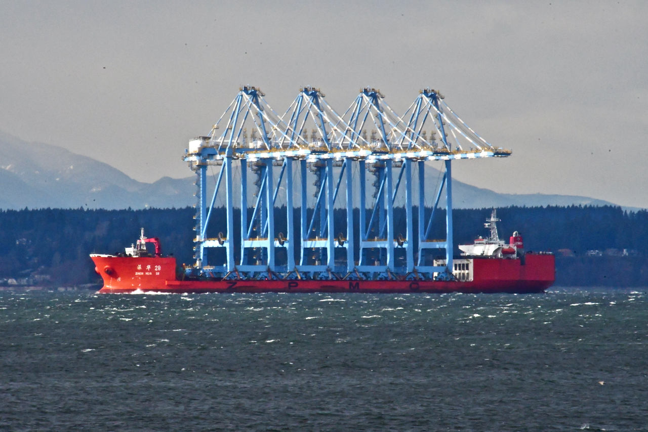 Zhen Hua 28