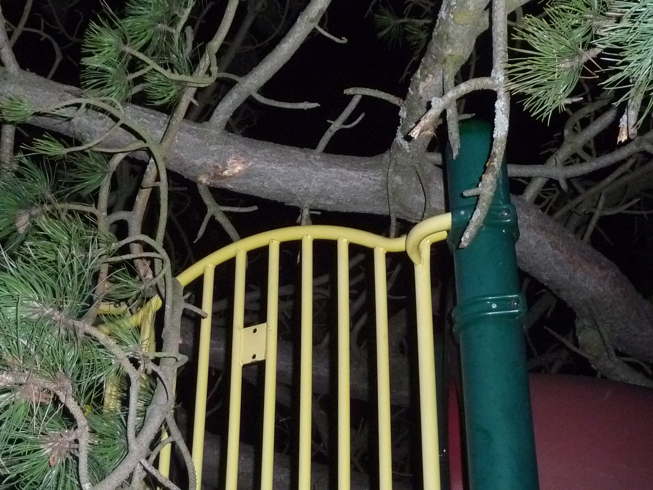 tree on playground gear