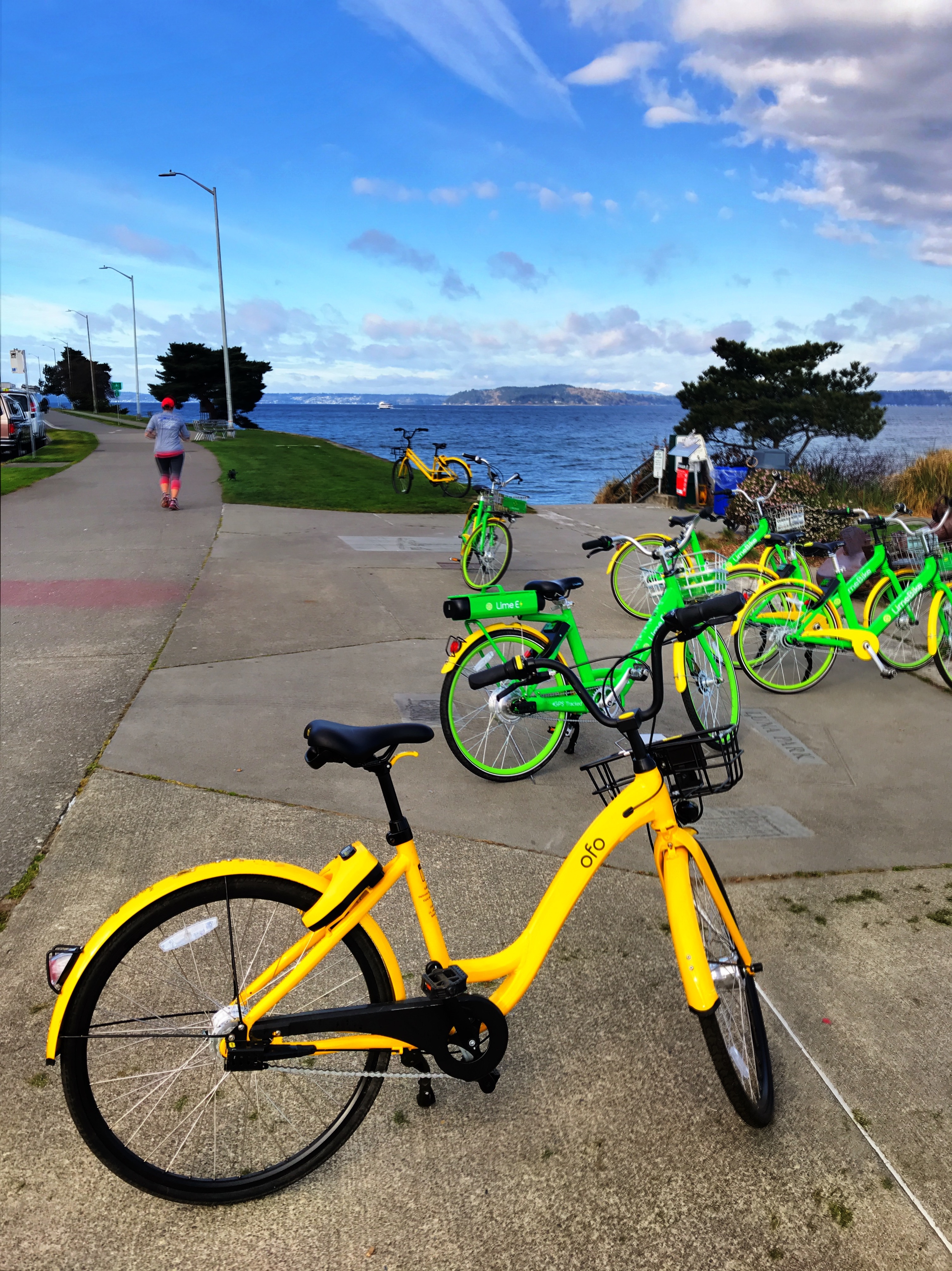 bikes at the beach