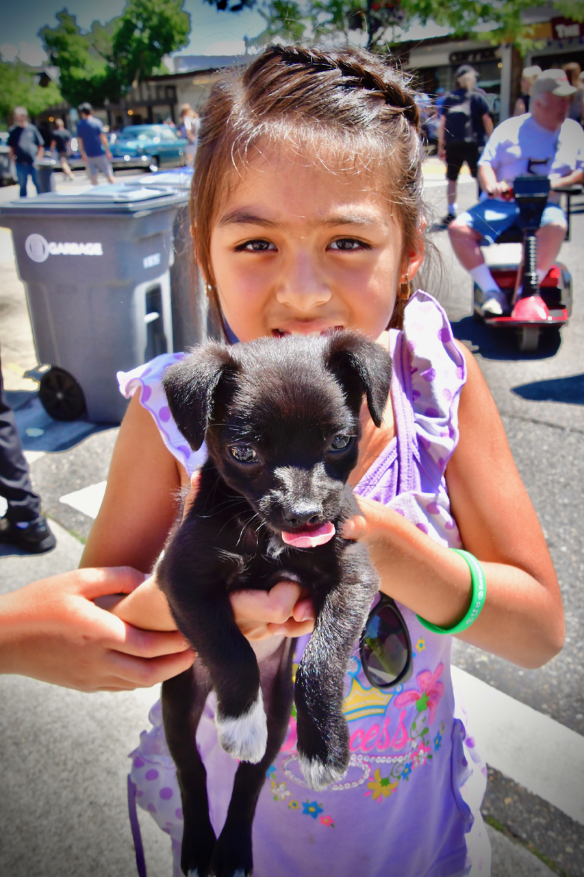 Kids and puppies