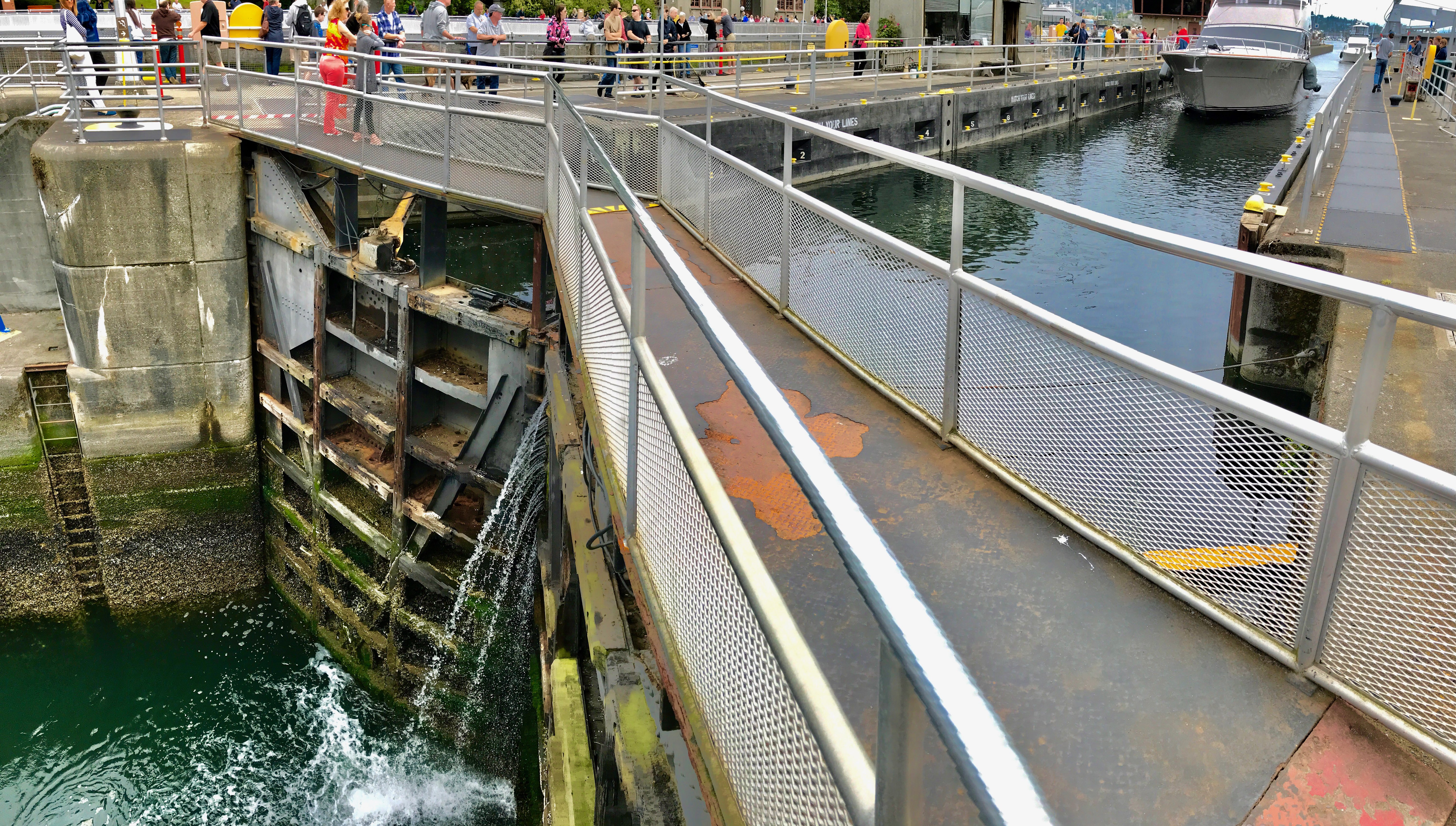 Ballard Locks