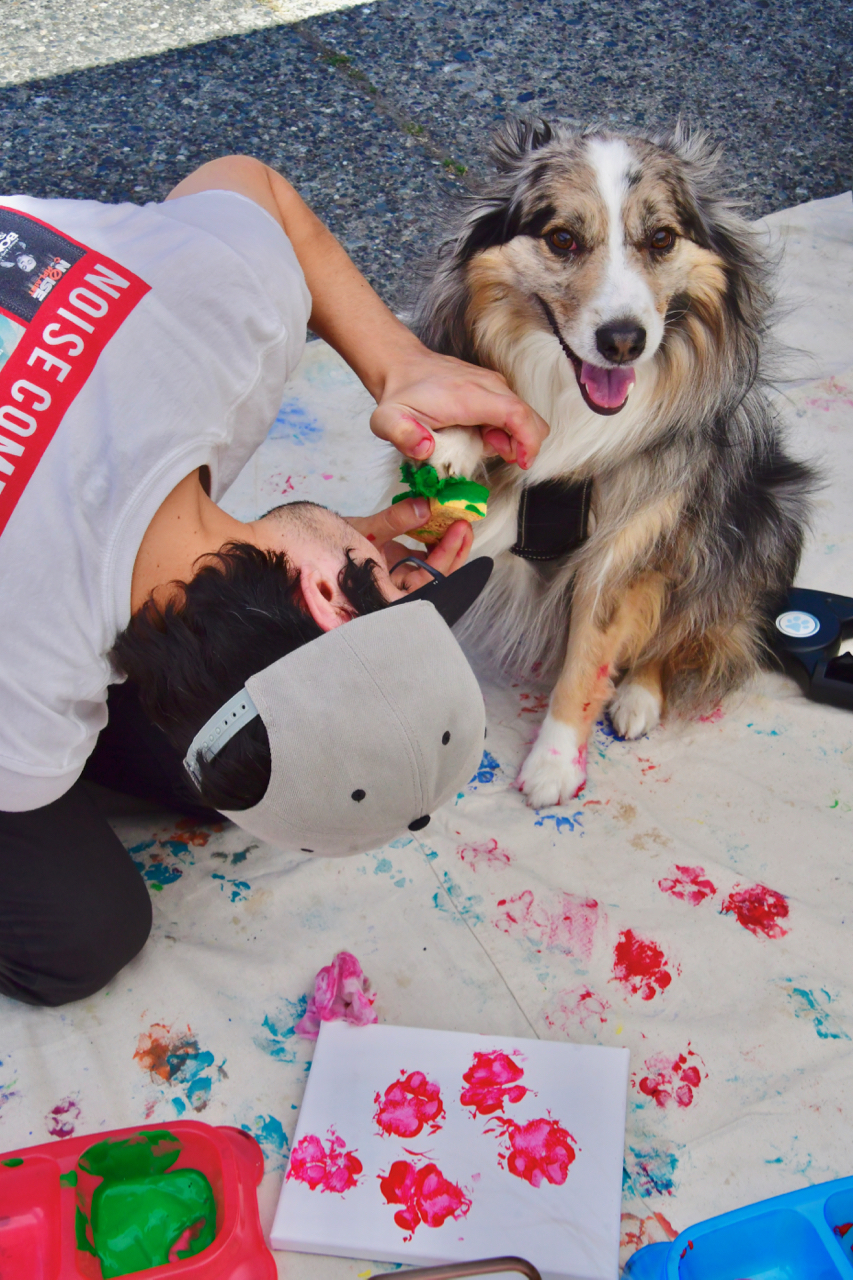 Furry Faces Foundation paws and paint