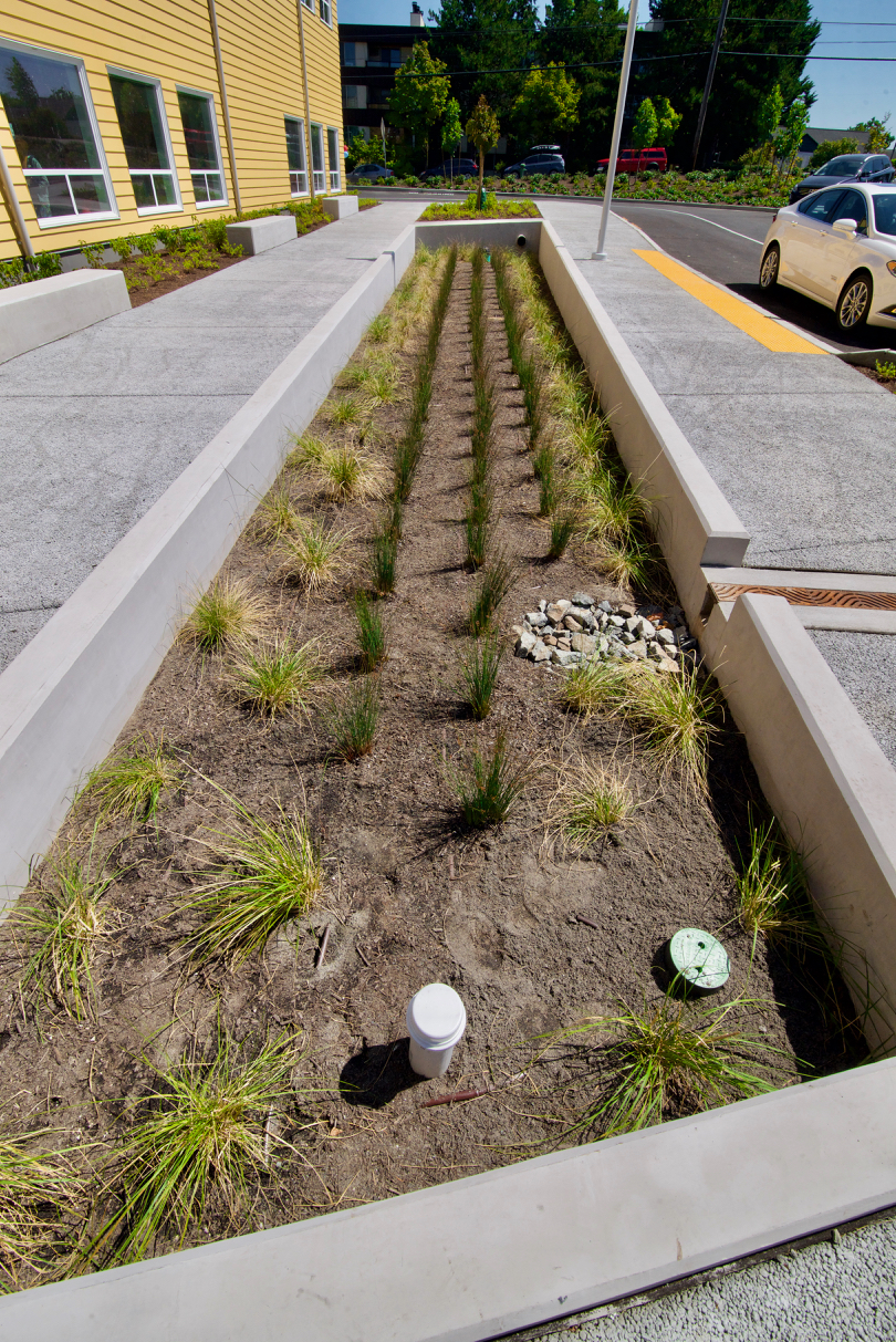 Summit Atlas rain garden