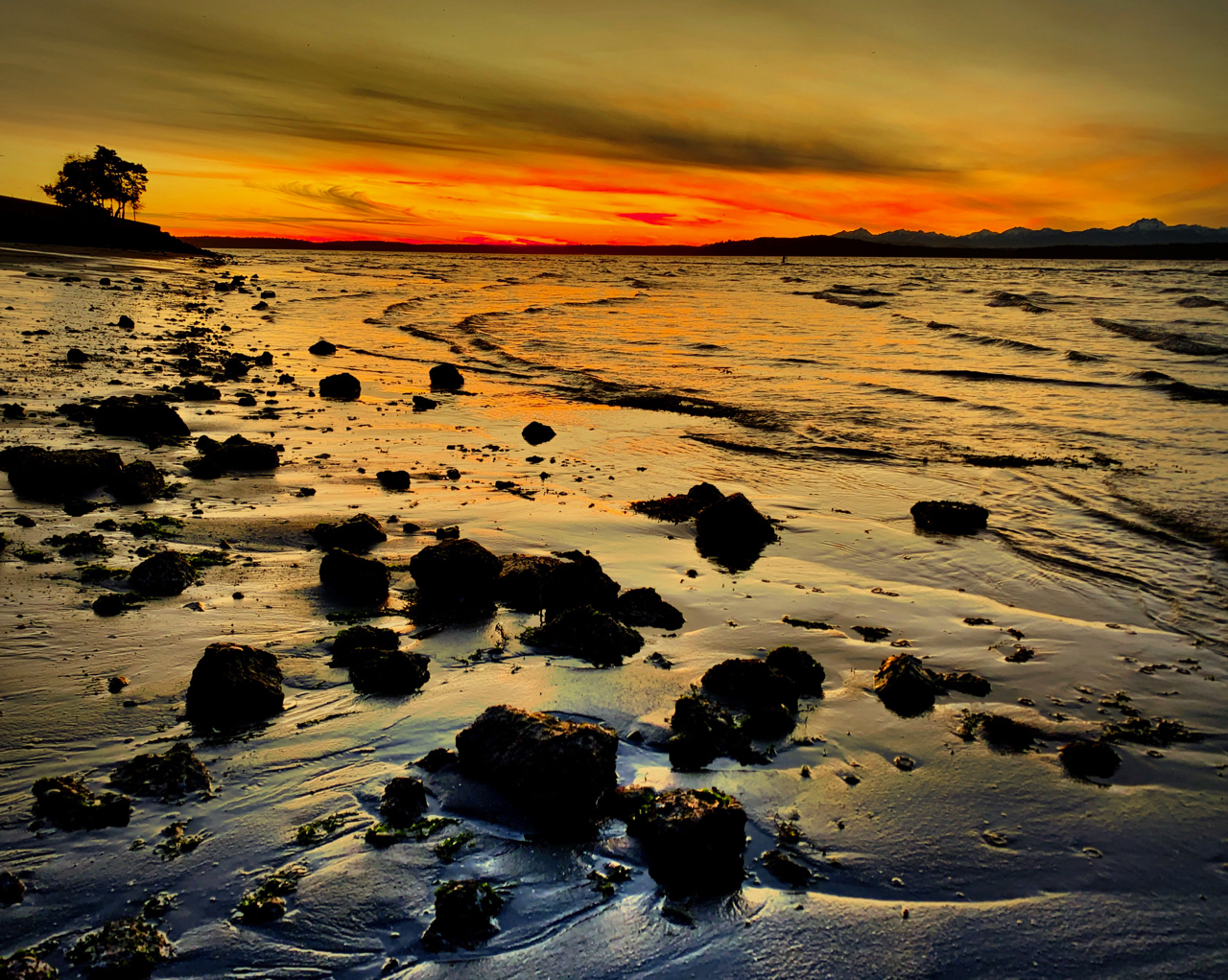 Sunset Of The Week 2 4 19 Westside Seattle