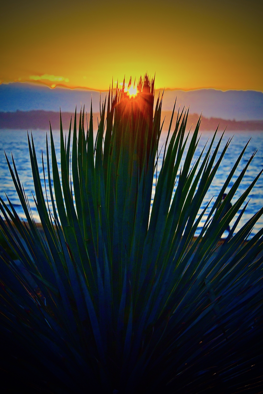 Sunset Of The Week 7 31 17 Westside Seattle
