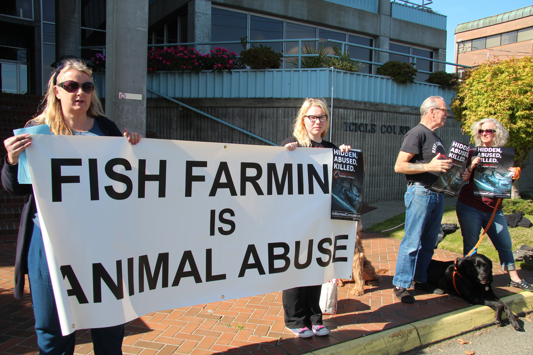 Animal rights groups protest Icicle Seafood's fish farming 'abuse' |  Westside Seattle