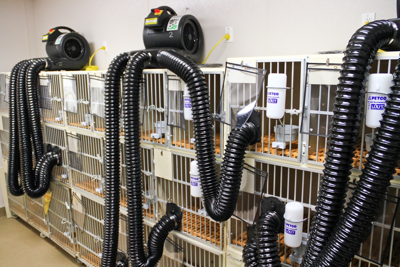 SLIDESHOW Petco opens in new location on Alaska Street; Grand Opening