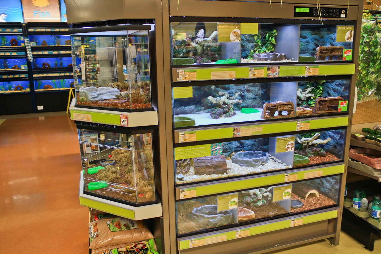 SLIDESHOW Petco opens in new location on Alaska Street; Grand Opening