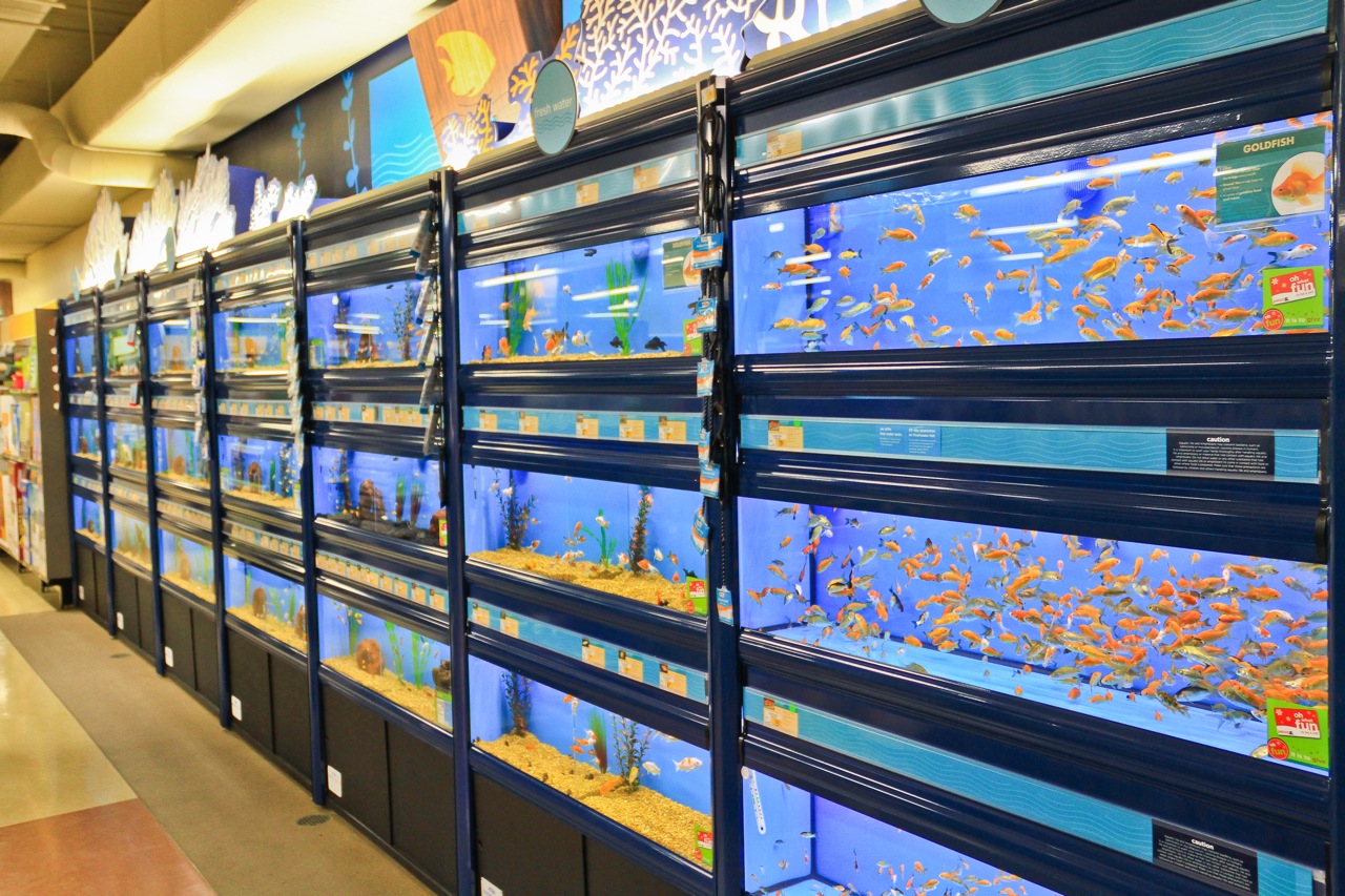 SLIDESHOW Petco opens in new location on Alaska Street Grand Opening set for Sat. Nov. 5 Westside Seattle