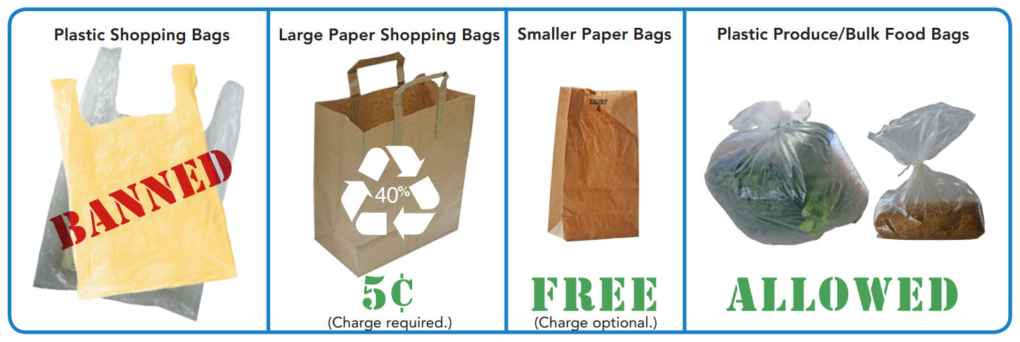 Single Use Plastic Bag Next Paper Stock Photo 2133558503 | Shutterstock