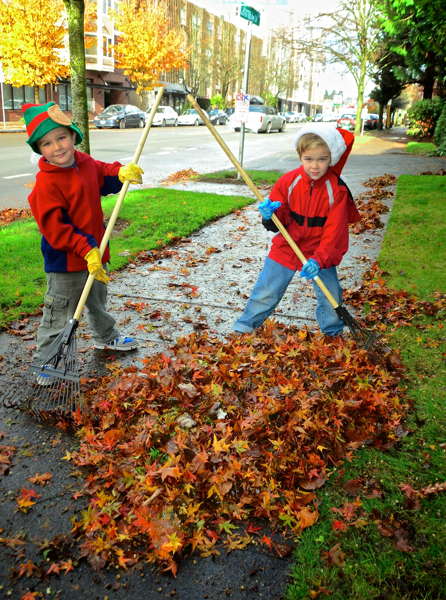 Hard Working Boy Photos and Images