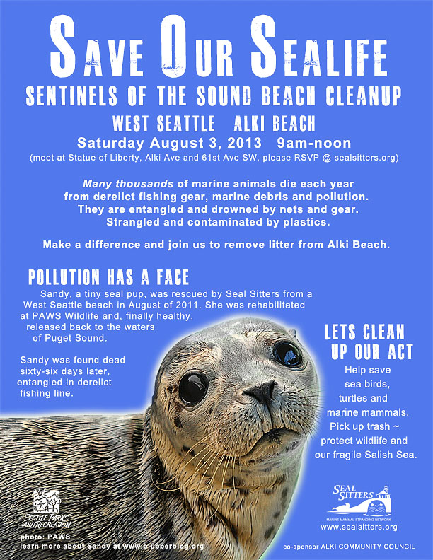 Alki Beach cleanup will honor seal pup Sandy Aug. 3: Part of Seal Sitters  Year of the Seal: Sentinels of the Sound | Westside Seattle