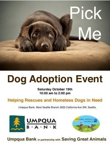 Give a loving friend a home: Saving Great Animals dog adoption event is  Oct. 19 | Westside Seattle
