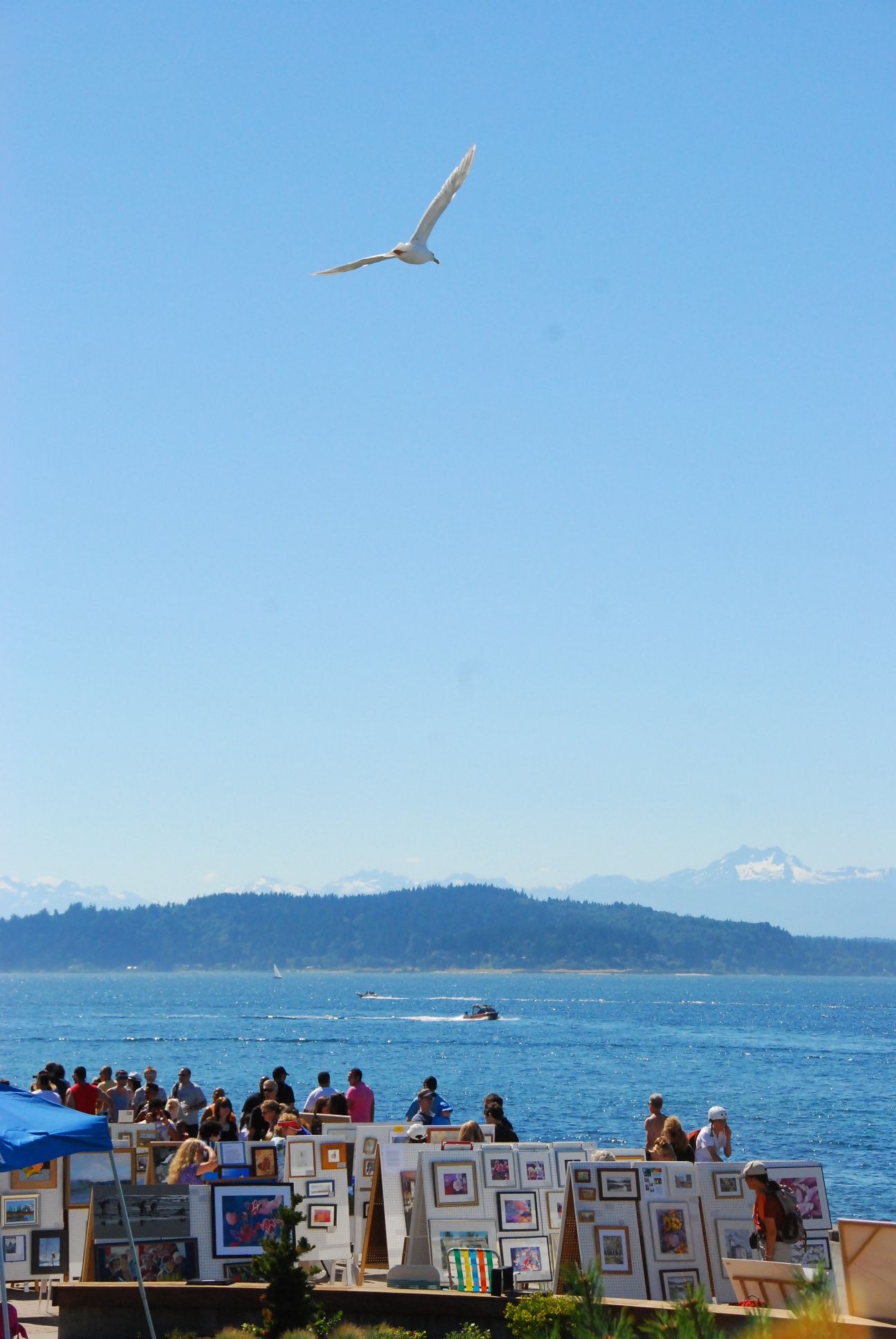 Alki Art Fair will fill the promenade this weekend Westside Seattle