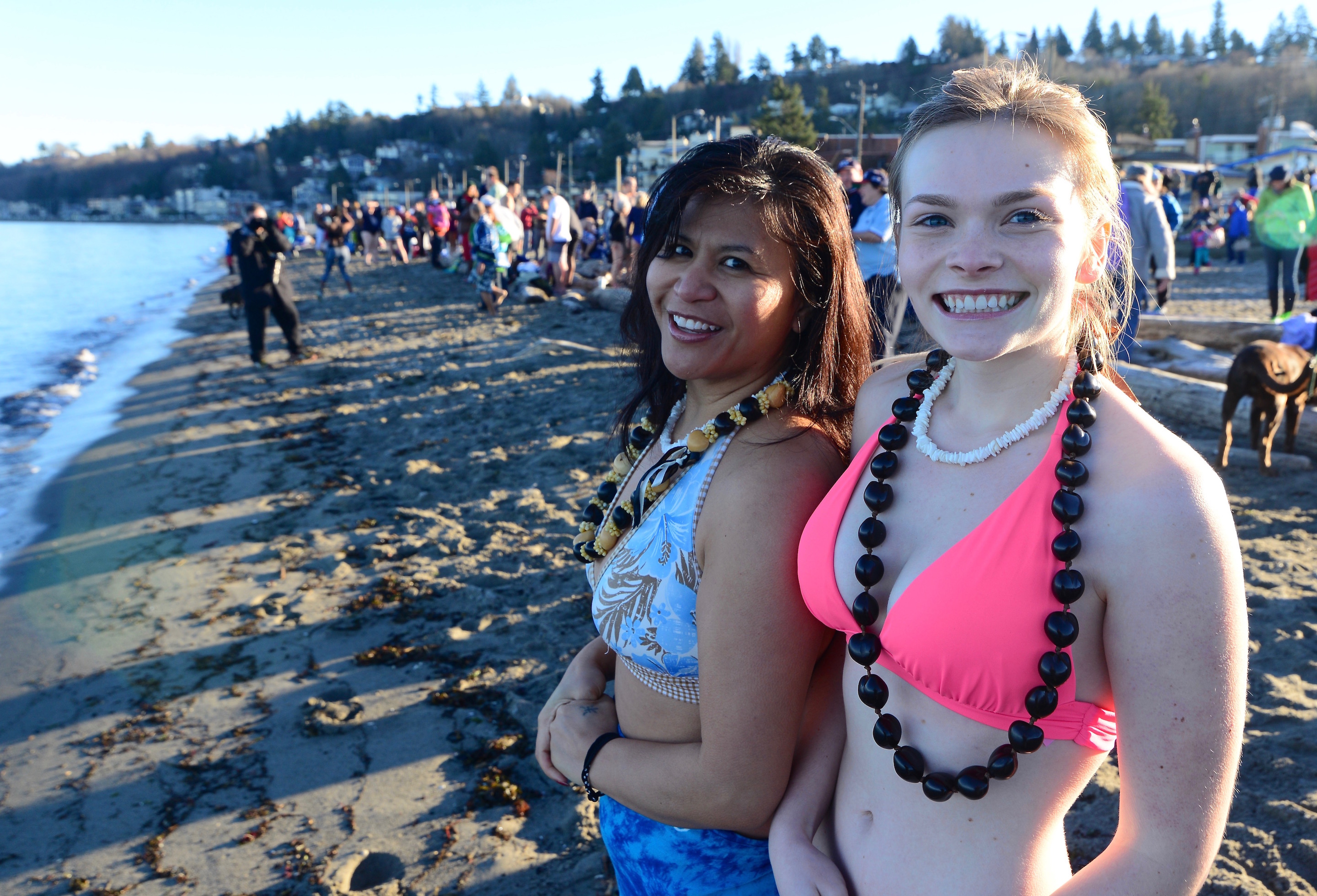 SLIDESHOW Alki Beach Polar Bear Plunge was well attended, wet and