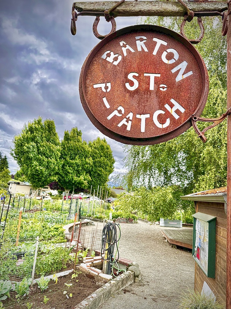 Barton Street P Patch