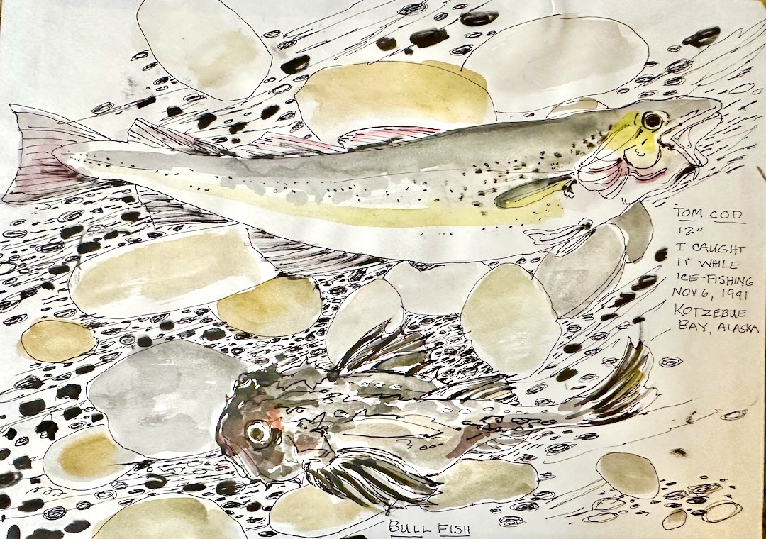 Tom Cod