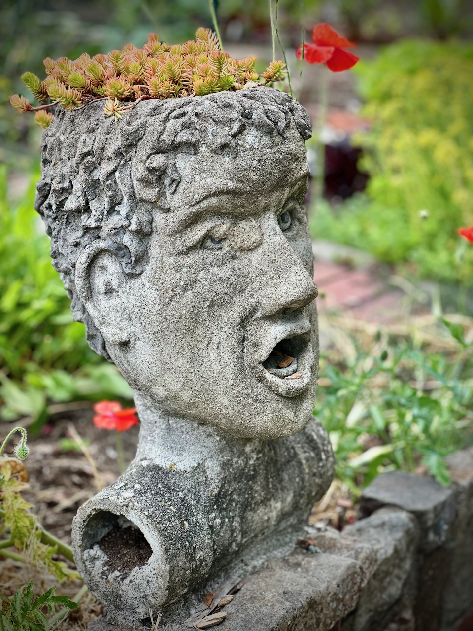 statue head