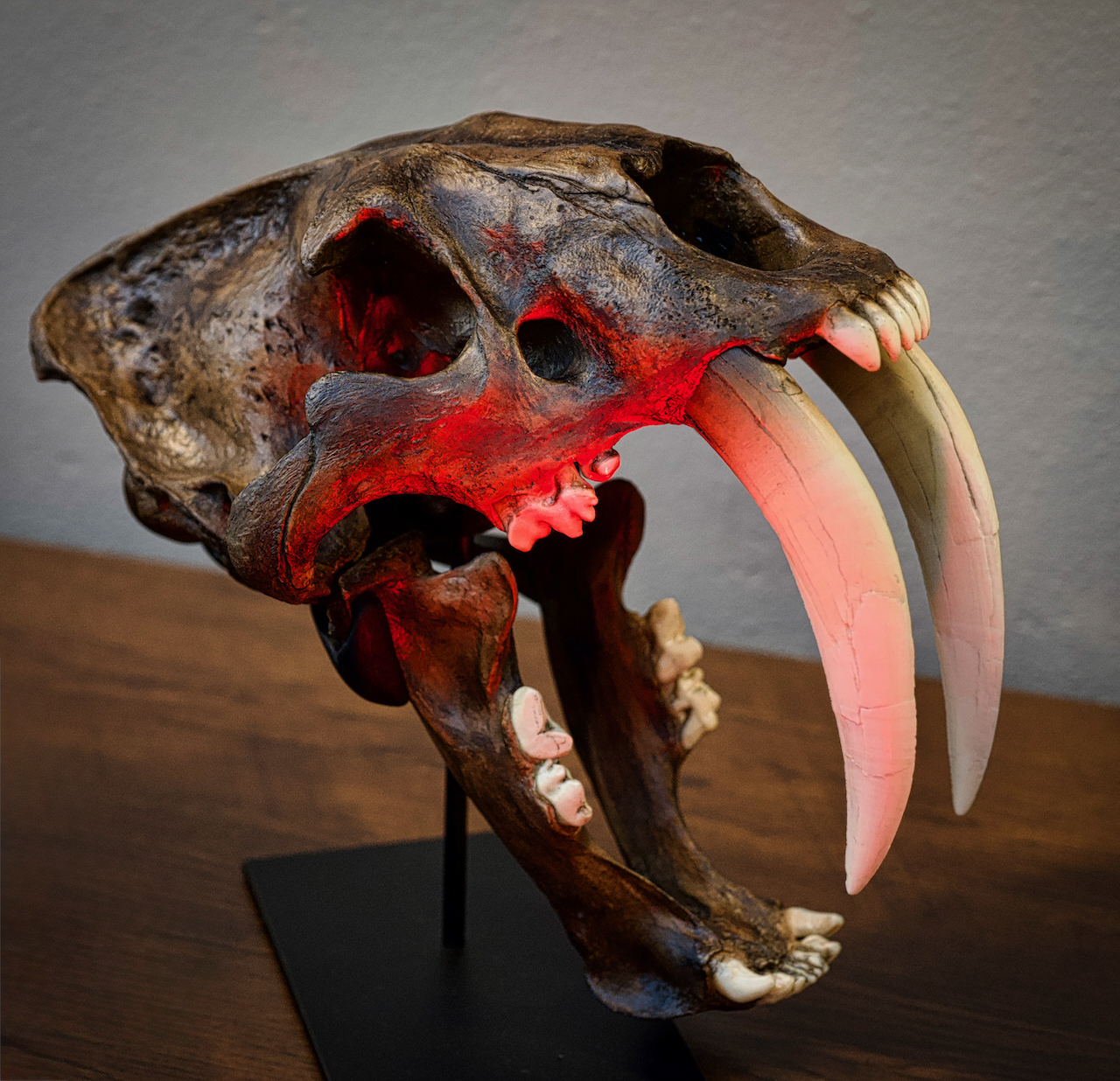 Saber tooth tiger