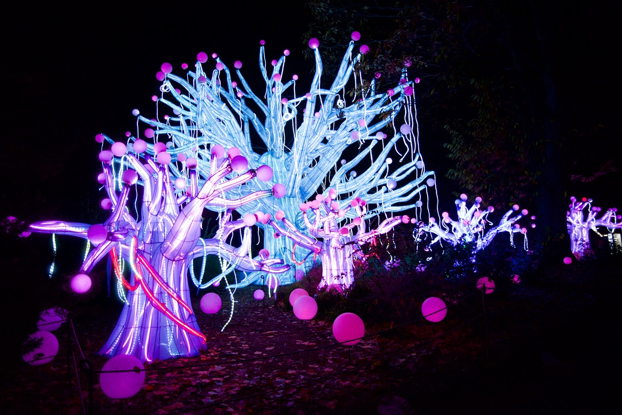 glowing fairy trees