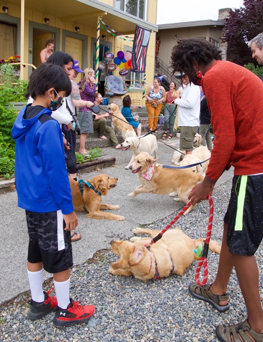 dogs out front