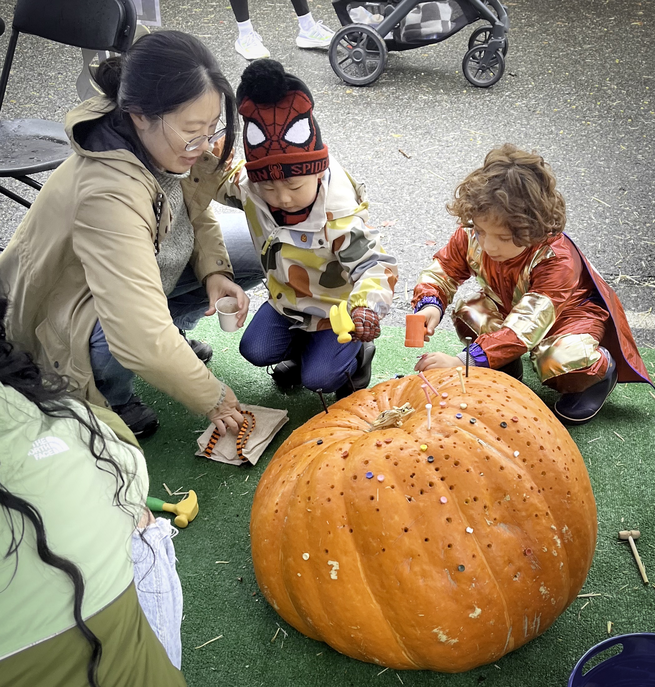pumpkin