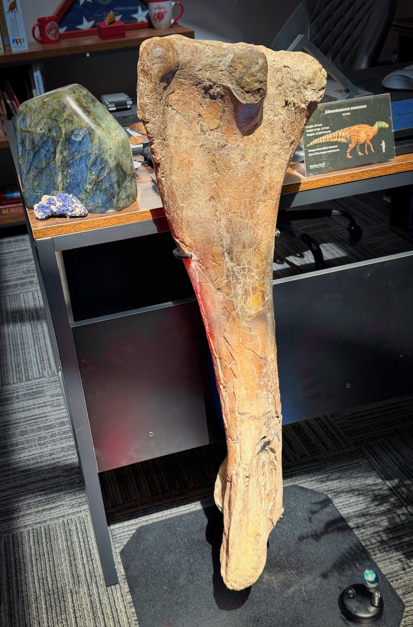 Edmontosaurus