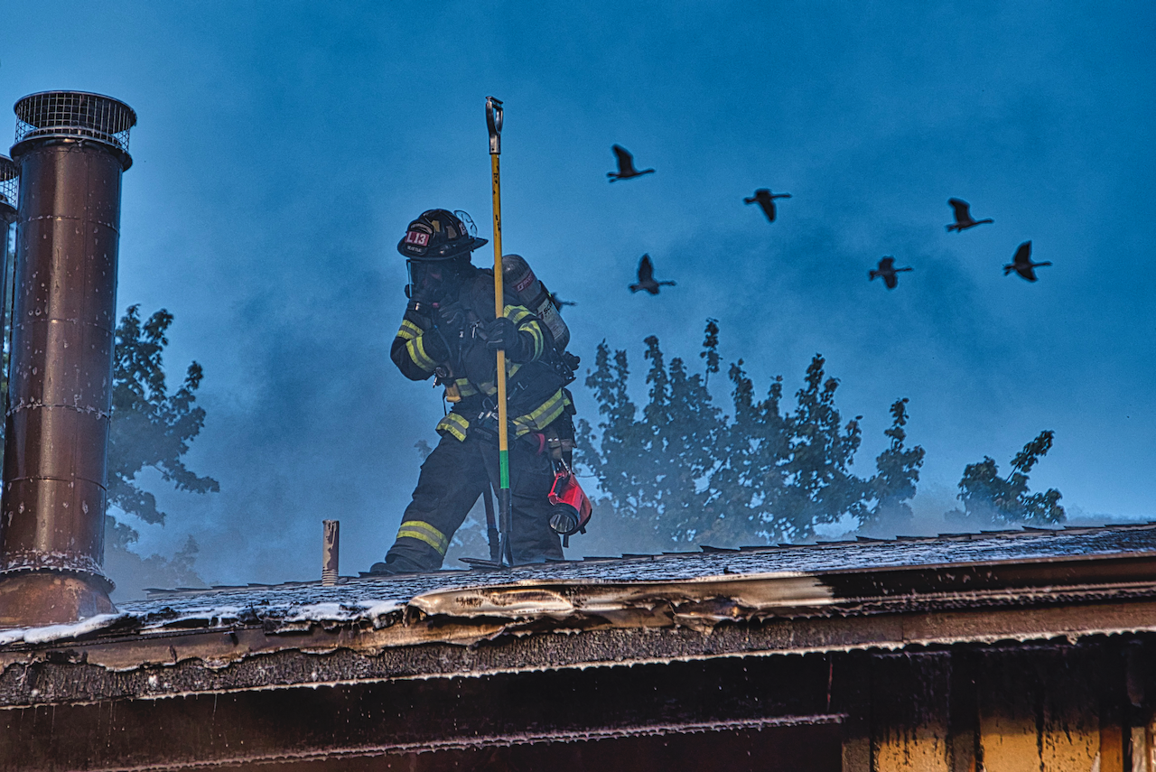 fire and geese