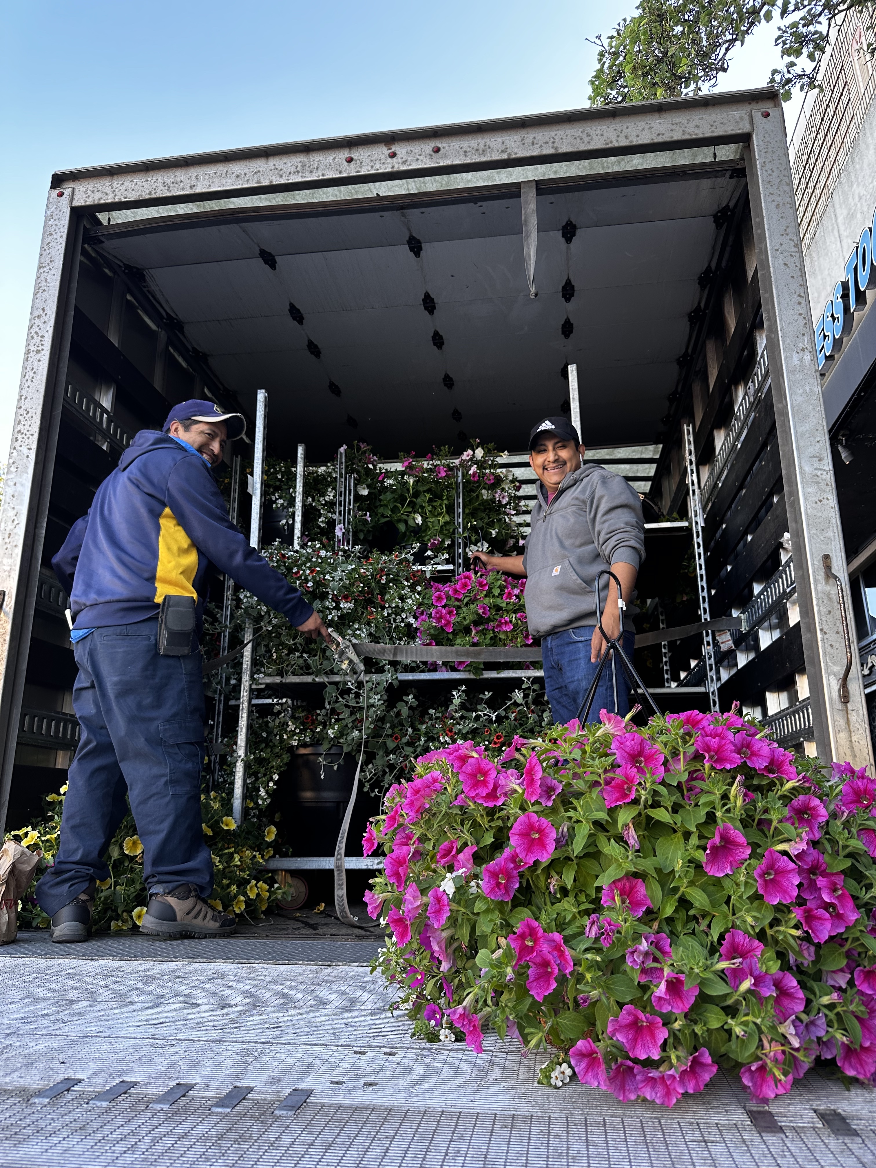 truck with flowers