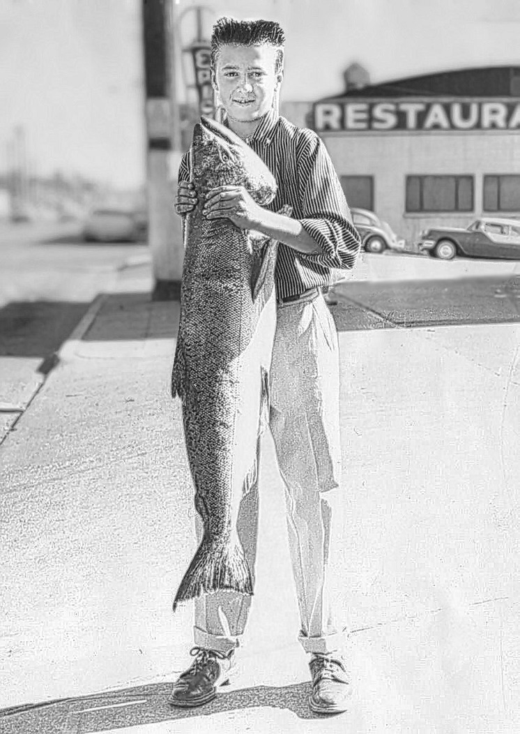 salmon