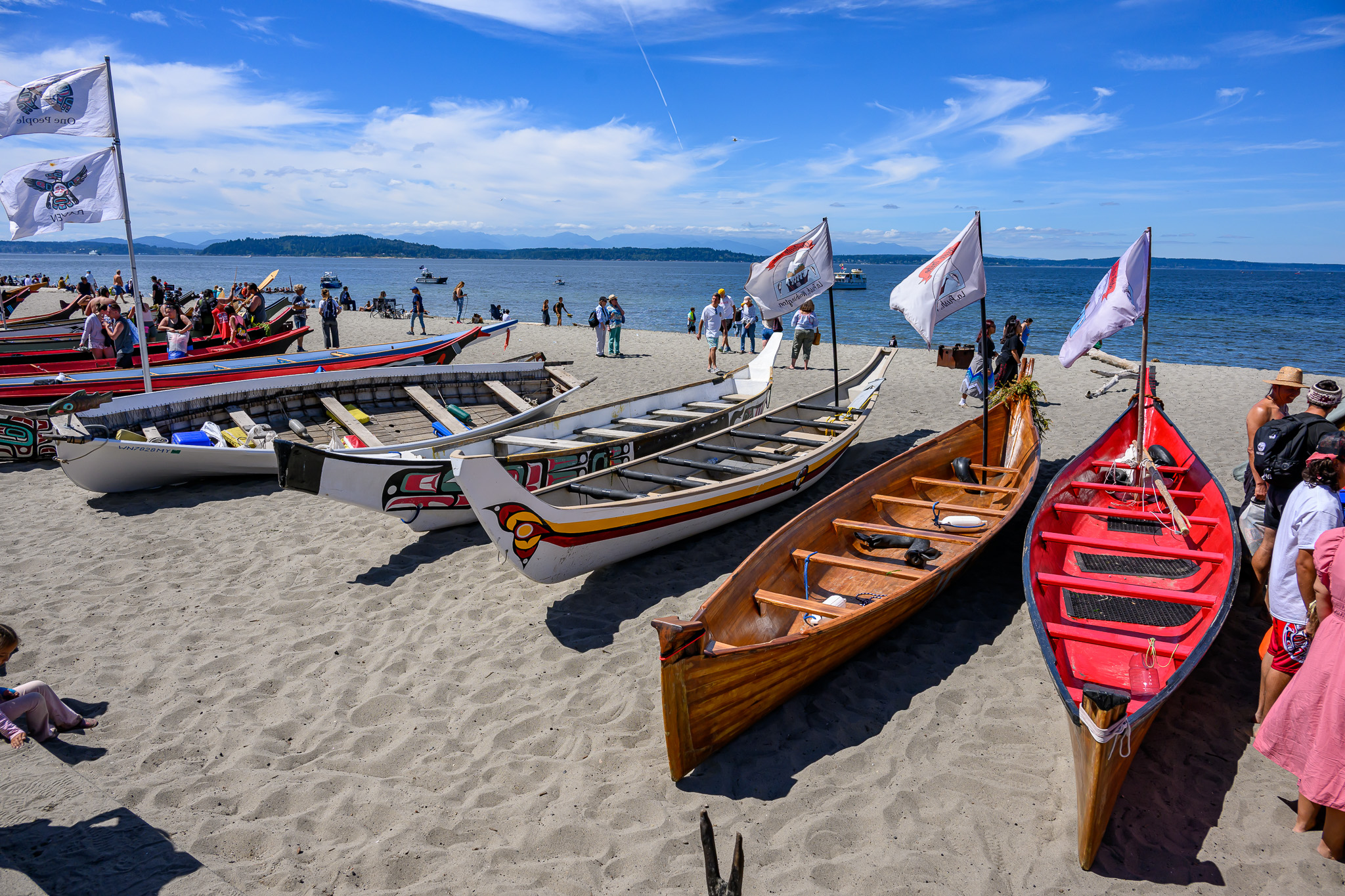 canoes lined up
