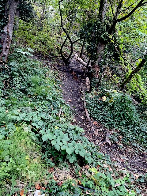 pigeon point hillside
