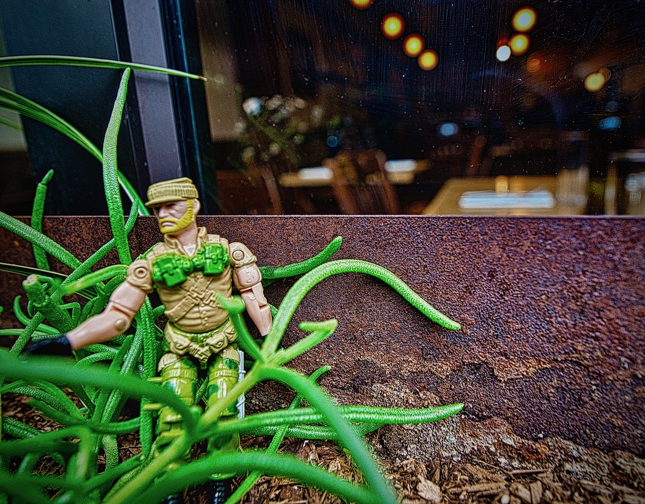 G.I. Joe is in the window box on patrol. Photo by Patrick Robinson