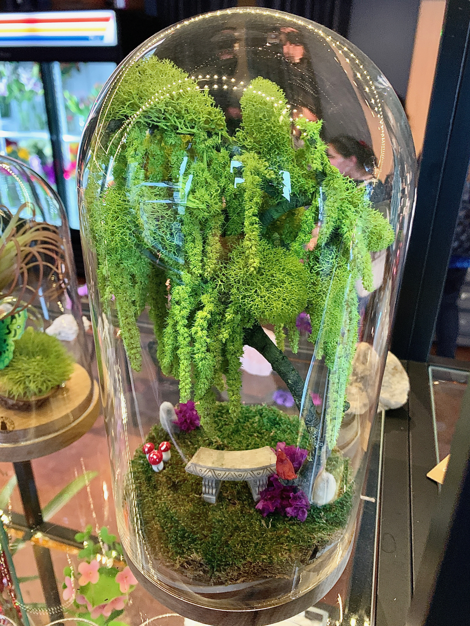 terrariums