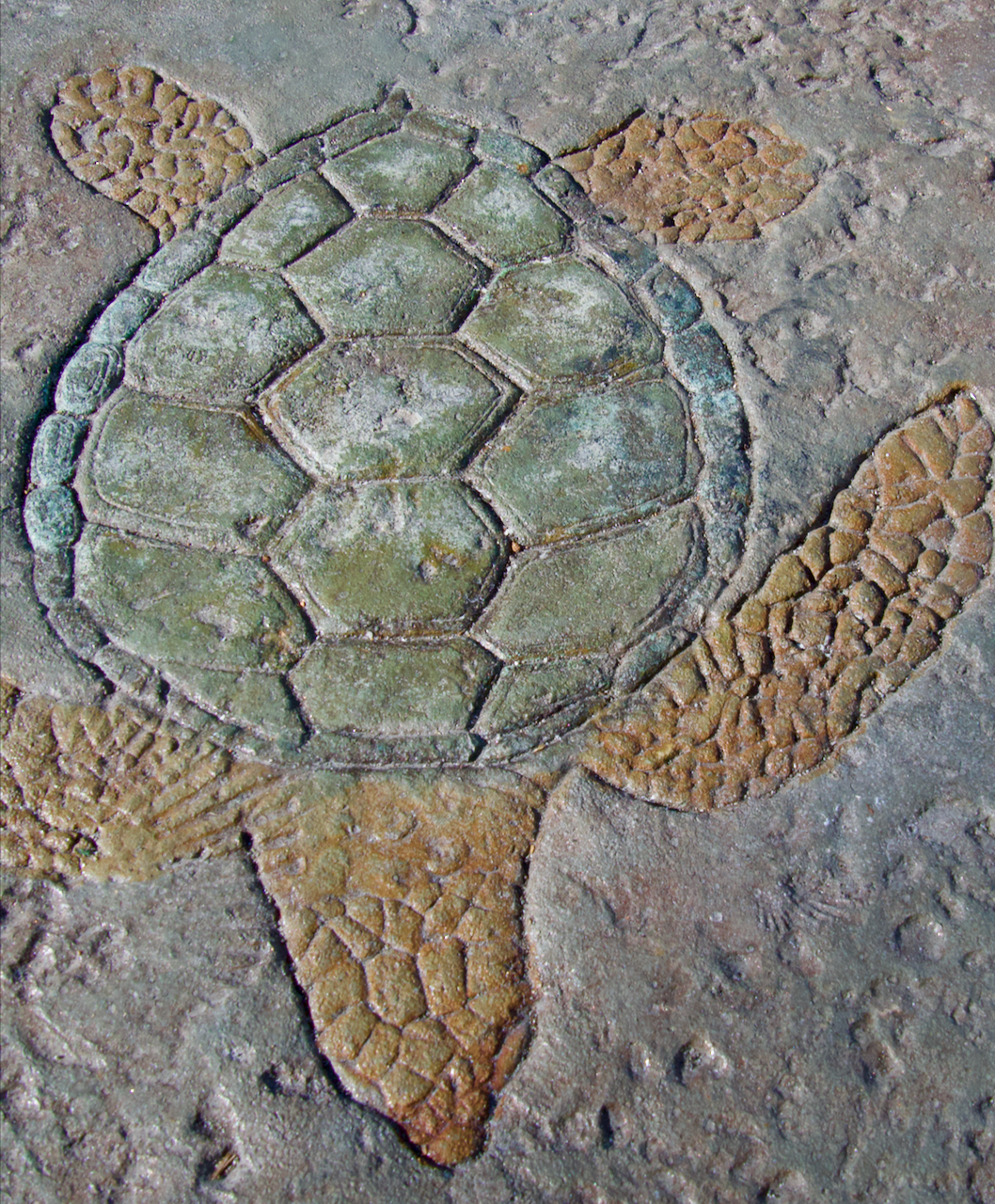 cement turtle
