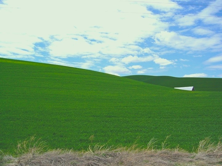 Palouse