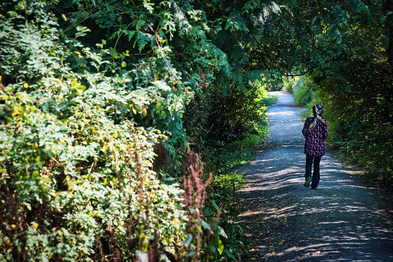 pathway in the park