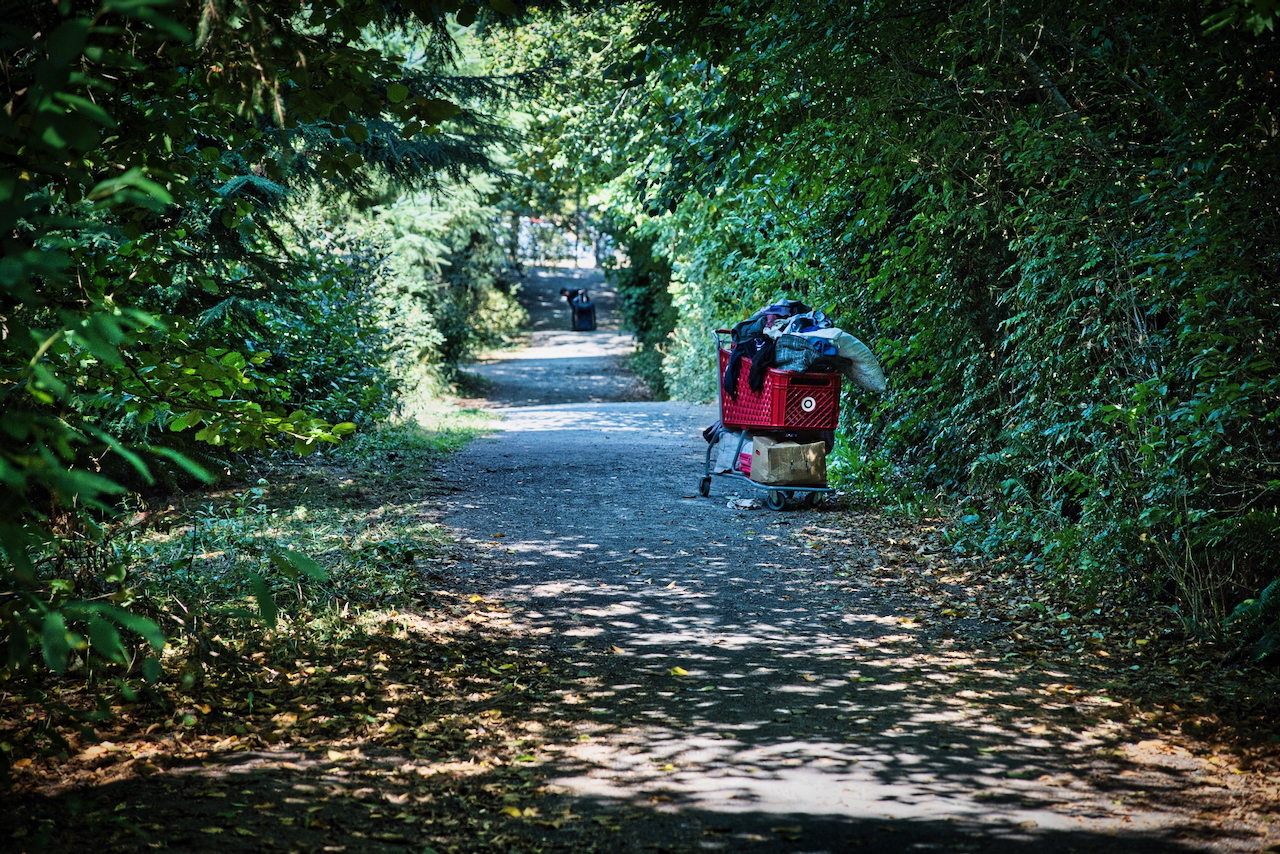 pathway in Roxhill Park