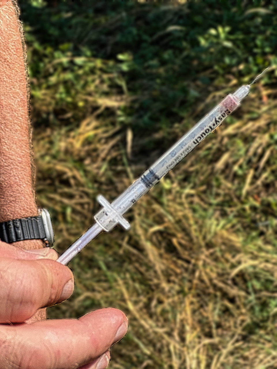 needle