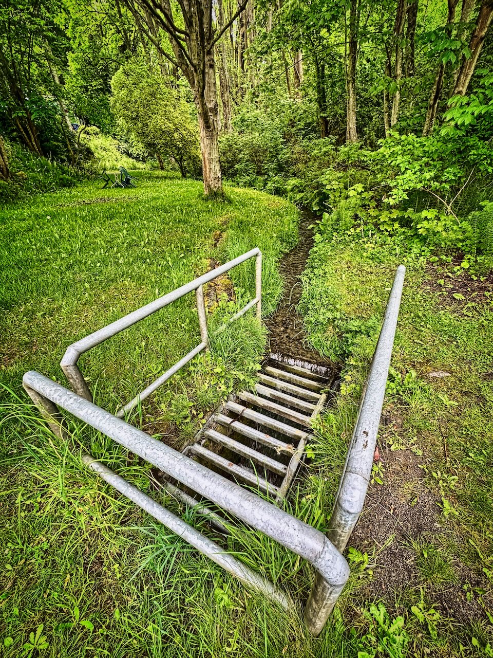 Culvert diversion of Schmitz Park Creek