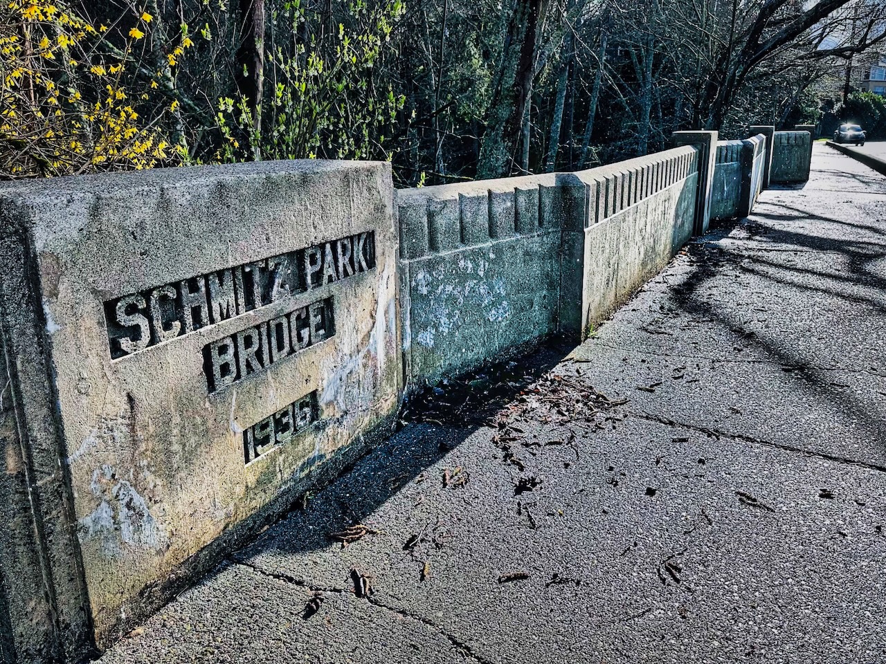 Schmitz Park Bridge