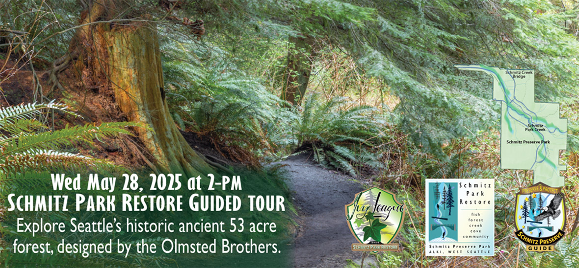 schmitz park tour