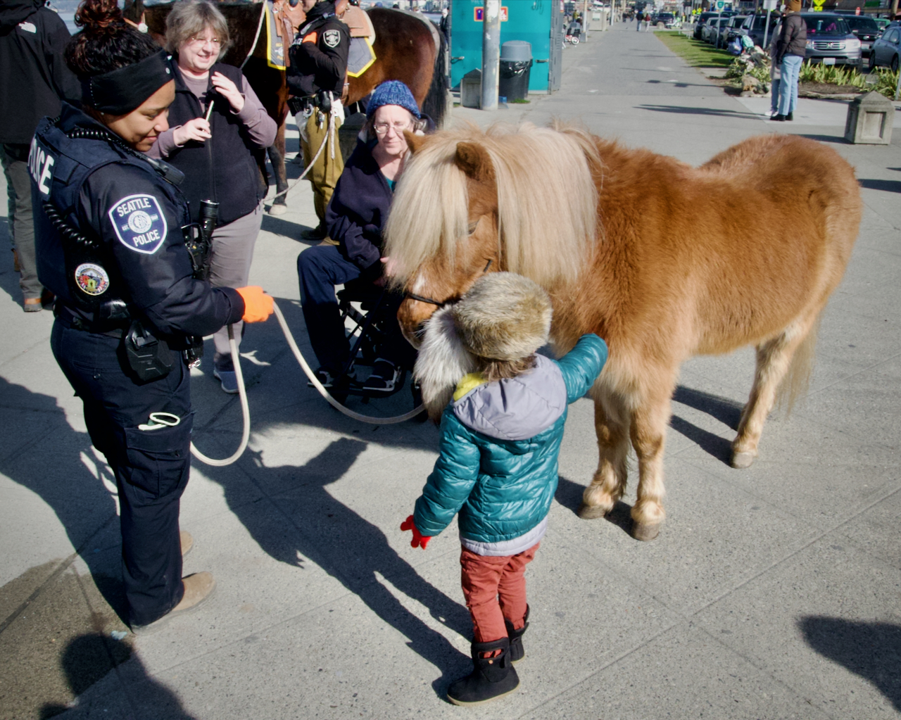 Lil Sebastian