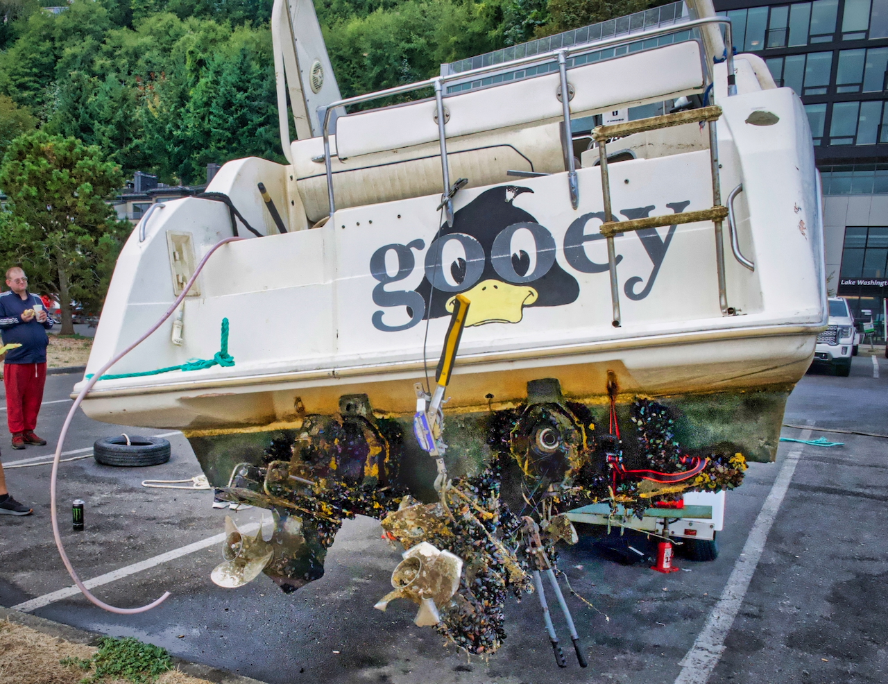 gooey duck on trailer